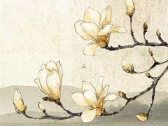 八字中養胎是什么意思 生辰八字中養是什么意思