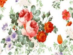 94年屬狗男的屬相婚配,94年屬狗男最佳婚配屬相