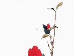 生肖本命年的禁忌是什么 本命年相克生肖