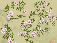 2024年是什么龍年 金木水火土 2024年是什么龍年金木水火土最好