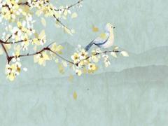 屬猴的人佩戴什么吊墜最好,屬猴的佩戴什么吊墜招財轉運