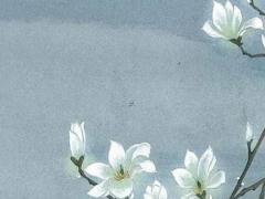 易經(jīng)六龍御天什么意思呀 易經(jīng)的智慧07六龍御天