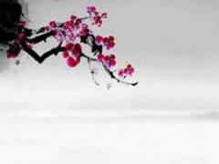 白羊座如果愛上一個人是什么表現 白羊座如果喜歡一個人會怎樣