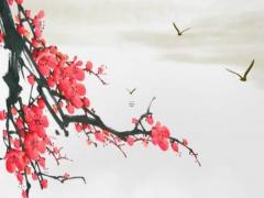 傷官生財的八字有賺錢頭腦 傷官生財的巨富八字