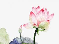 辰八字能決定婚姻嗎有關(guān) 千萬不能以生辰八字決定你的婚姻