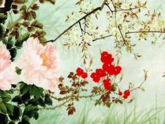 2024年喜的屬相 2024年最好6大生肖