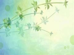 怎樣讓白羊男主動表白 怎么讓白羊座男生表白