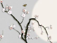 71年屬豬婚姻與76年婚姻,71年的豬跟76年的龍兩者相克嗎?