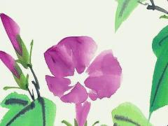 屬虎的今年是60幾了,屬虎的人60歲是哪一年