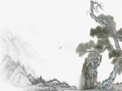 屬猴的零零后今年多大,00后屬猴的幾歲了