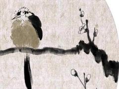 84年屬鼠的今年有財氣嗎,84年屬鼠今年財運怎么樣