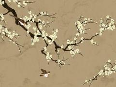 屬虎和屬龍的姻緣如何,屬虎和屬龍感情會(huì)是什么樣的