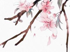 和男朋友的八字不合怎么辦呢 和男朋友八字相克怎么辦