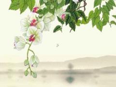 屬牛的人2024年4月份運勢如何,屬牛2024年4月運勢及運程