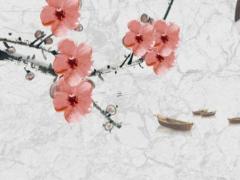 屬馬的和屬鼠的能不能婚配,屬馬的和屬鼠的能在一起結婚嗎?