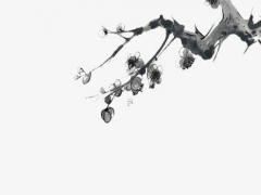 屬蛇的貴人屬相是什么生肖 屬蛇人2023年運勢完整版