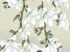 老師批判賈靜雯八字 賈靜雯立場