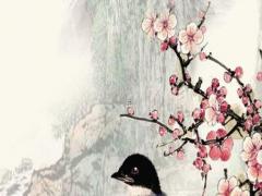 屬蛇和屬猴的姻緣怎樣,屬蛇和屬猴的婚姻可以到頭嗎