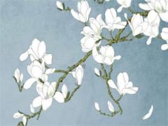 經(jīng)緯度怎么表示先寫精度還是先寫緯度 經(jīng)緯度先寫經(jīng)度還是緯度