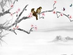 八字全陽女的事業 八字全陽女很邪門