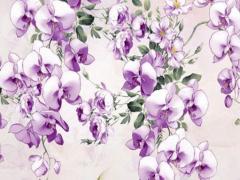 屬蛇1977桃花劫 77年屬蛇桃花劫屬相