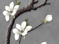 47歲屬什么生肖配對 47歲屬什么生肖