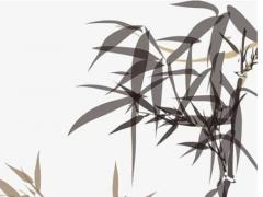 屬兔的和屬猴的姻緣,屬兔的和屬猴的婚姻怎么樣,配嗎?