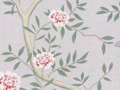 辦公室招財綠植有哪些 辦公室旺財的綠植