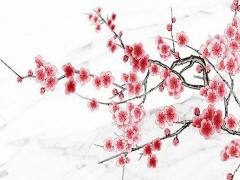 為什么八字算命那么準(zhǔn) 八字算命為什么準(zhǔn)