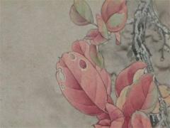 龍和鼠的婚姻運程 龍和鼠婚配怎么樣