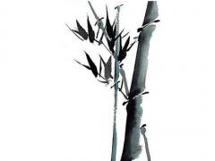 離婚了命運會會改變嗎 離婚后的命運