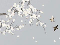 安壞關系都是怎么結束的 安壞關系是什么關系