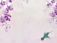 2019年出生屬啥多大2024年,2019年屬豬人今年幾歲了