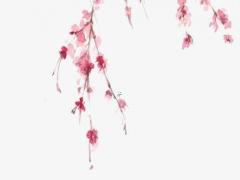 新月和滿月是指哪一天 新月滿月的區別