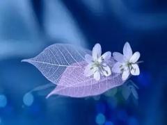 夢見玉戒指閃閃發光 夢到玉戒指戴在手上