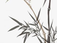 十二生肖的什么行為會讓你感覺他很蠢 十二生肖喜歡嗎