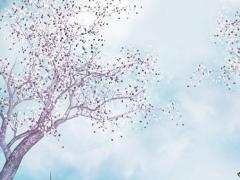 女生清冷孤傲的古風網名,冷孀無心嘆無情