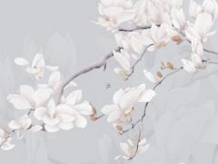 屬猴的女人戴什么首飾比較好,屬猴女人戴什么招財最靈驗