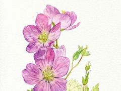 物流公司起名 物流公司起名大全名字大全運輸