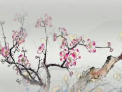 92年跟97年結(jié)婚合適嗎 92年和97年屬相適合嗎