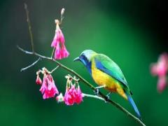 周公解夢夢到擦洗墻壁 夢見自己擦墻臟污