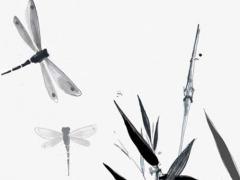 2023年星座運勢騰訊星座 2023年12星座每月運勢