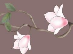 屬龍的兩個人婚姻,屬龍的婚姻好嗎