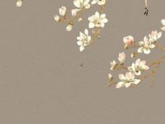 五金缺土八字喜水 五行缺土八字喜金怎么