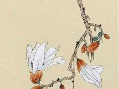 屬豬男和屬龍婚配好嗎 屬龍跟豬婚配好嗎