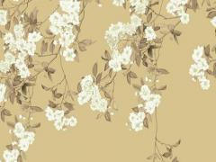 1981年出生屬啥多大2024年,1981年屬雞人今年幾歲了