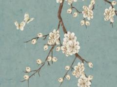 2016年出生屬啥多大2024年,2016年屬猴人今年幾歲了