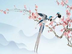 周易算命婚姻解析飛蛾撲火的女生 飛蛾撲火的女人好嗎