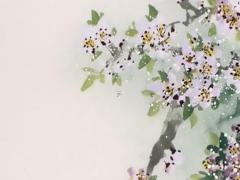 2024年屬豬是什么命 1971年屬豬2024的命運