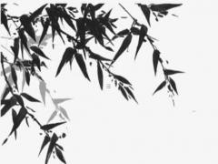 屬龍男和屬猴女是好姻緣嗎,屬龍男和屬猴女合適嗎